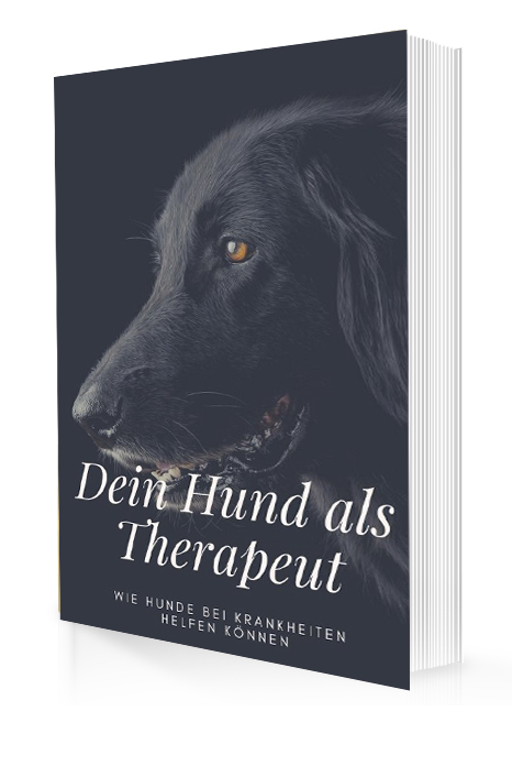 plr-produkte.net Cover - Dein Hund als Therapeut